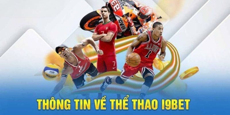 Sản phẩm thể thao cực kỳ đa dạng